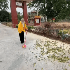 ButikNova PRO® – Ultralet og kraftfuld løvblæser